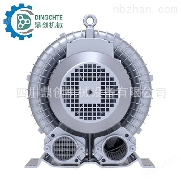 DGE-220旋涡气泵生产