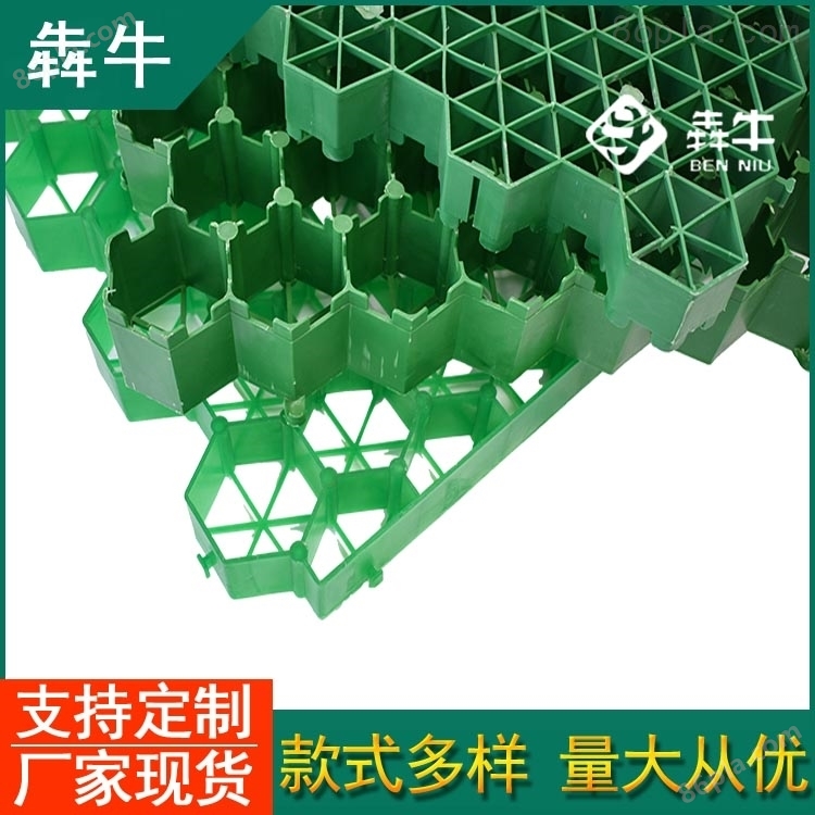 江门市-小区绿化用HDPE塑料植草格-型号齐全